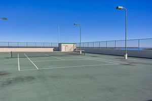 3207752.jpg