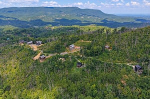 Nestled in the Smoky Mountains, this secluded mountain community offers scenic forested surroundings and tranquil natural beauty.