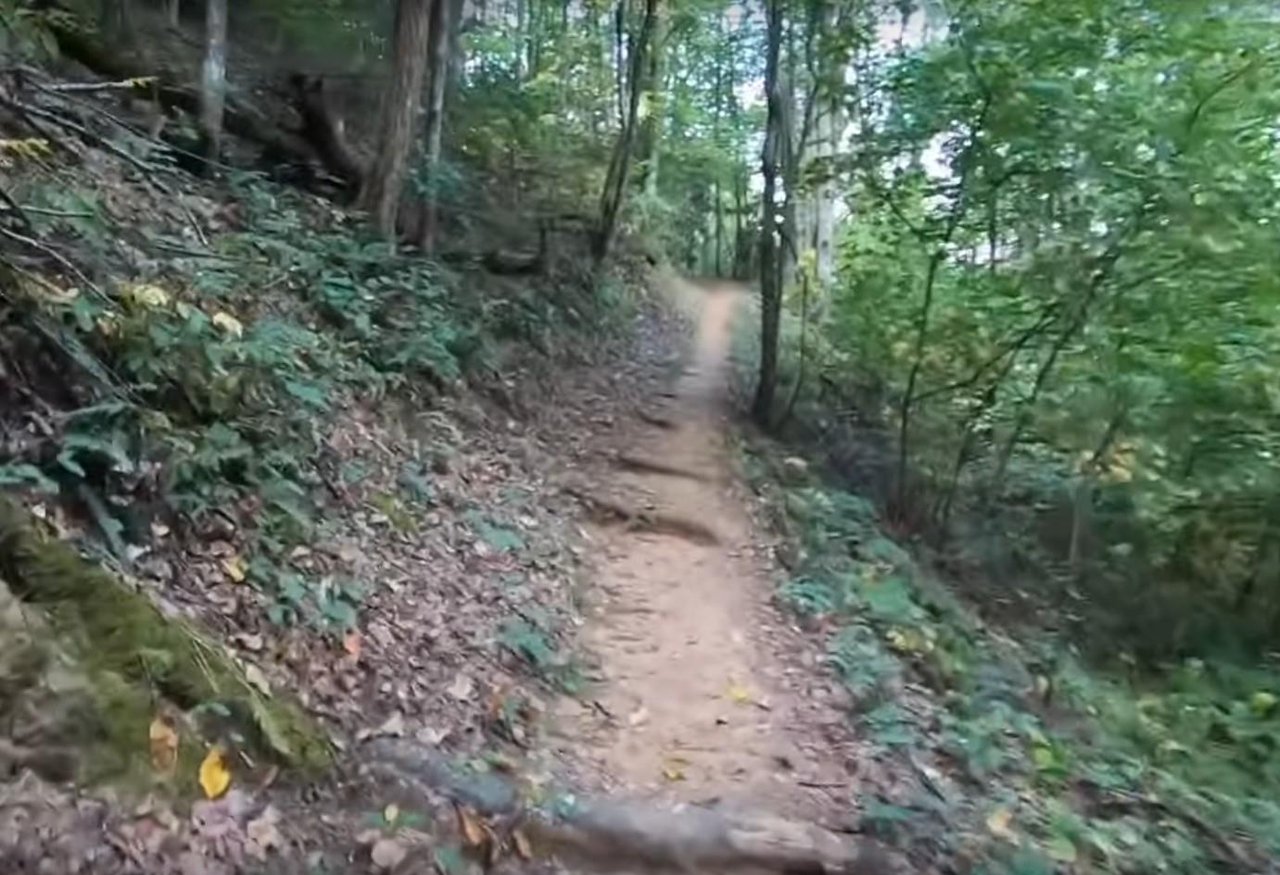 Width1280