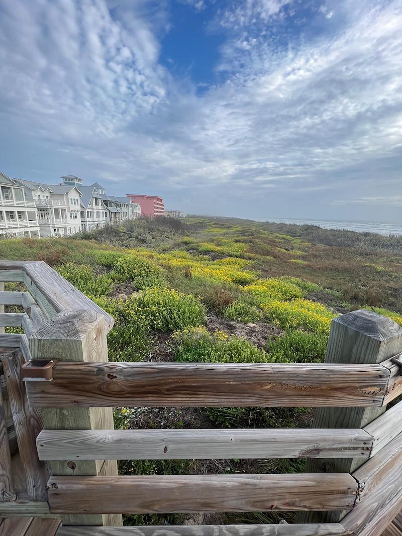 7b3293f36d2940b498b5ee1000c790a9large_Elside B. Awww moment