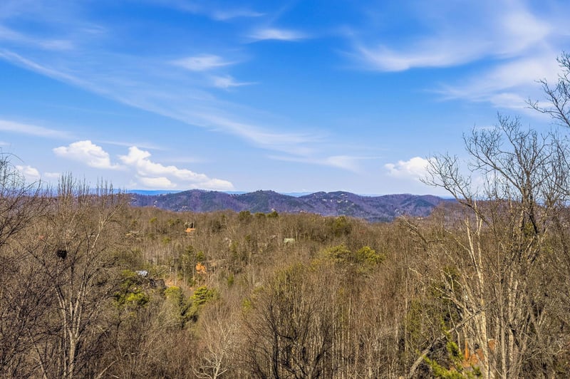 Scenic mountain vista stretches across the horizon beyond forested hills under a brilliant blue sky.
