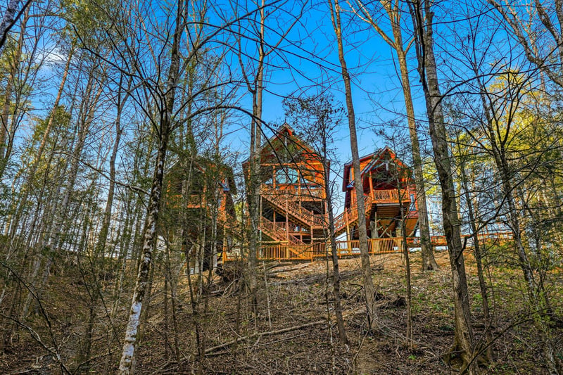Rustic treehouse cabin nestled among tall trees, offering a unique forest retreat with wooden walkways and natural surroundings.