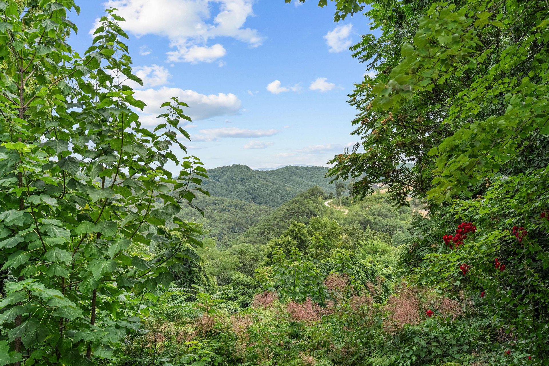 ridgetoptheatrelodge36
