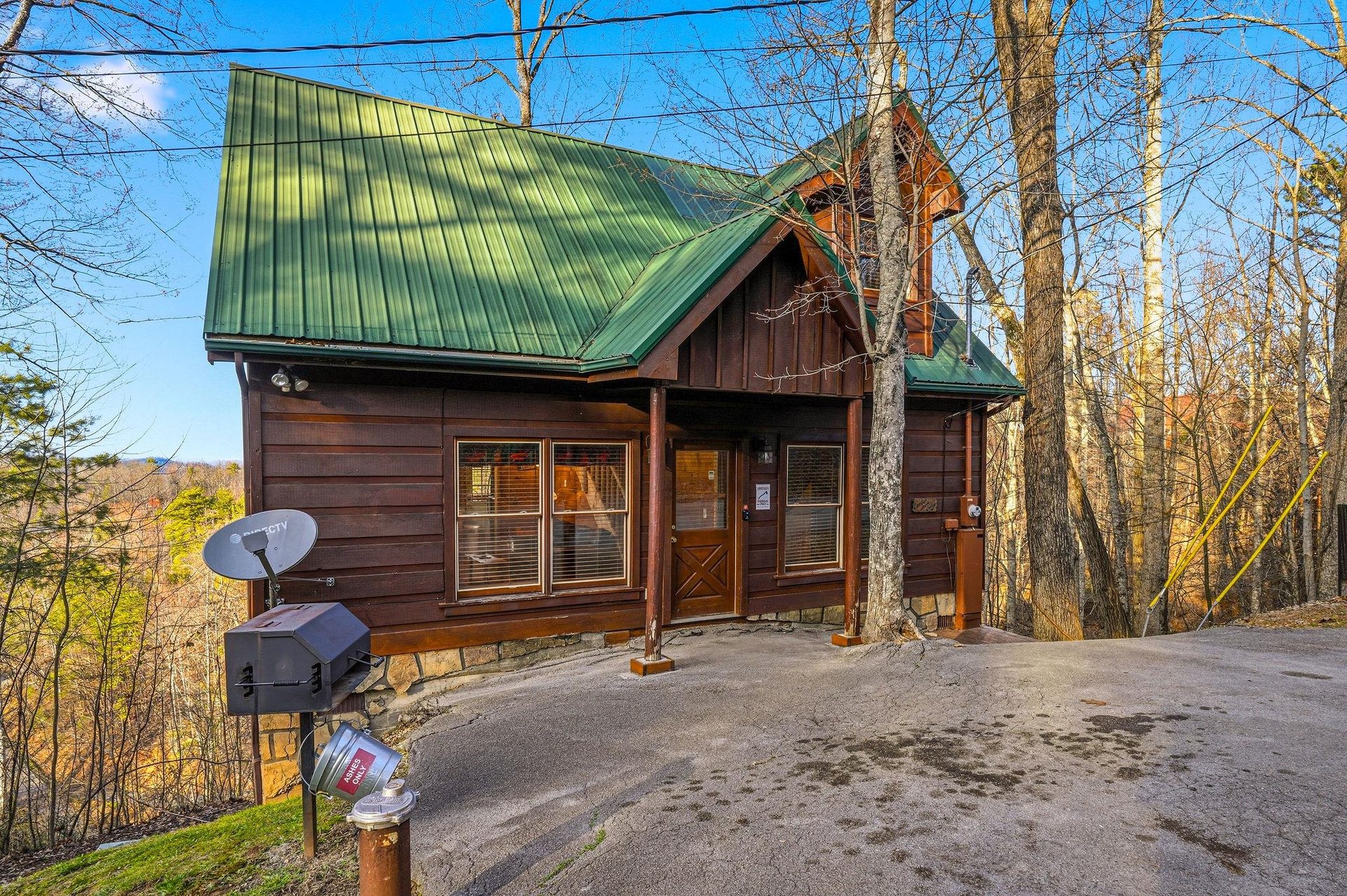 A charming mountain cabin with green metal roof nestled among towering trees, offering a peaceful woodland retreat.