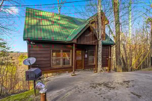 A charming mountain cabin with green metal roof nestled among towering trees, offering a peaceful woodland retreat.
