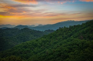View from Black Bears  Biscuits Lodge