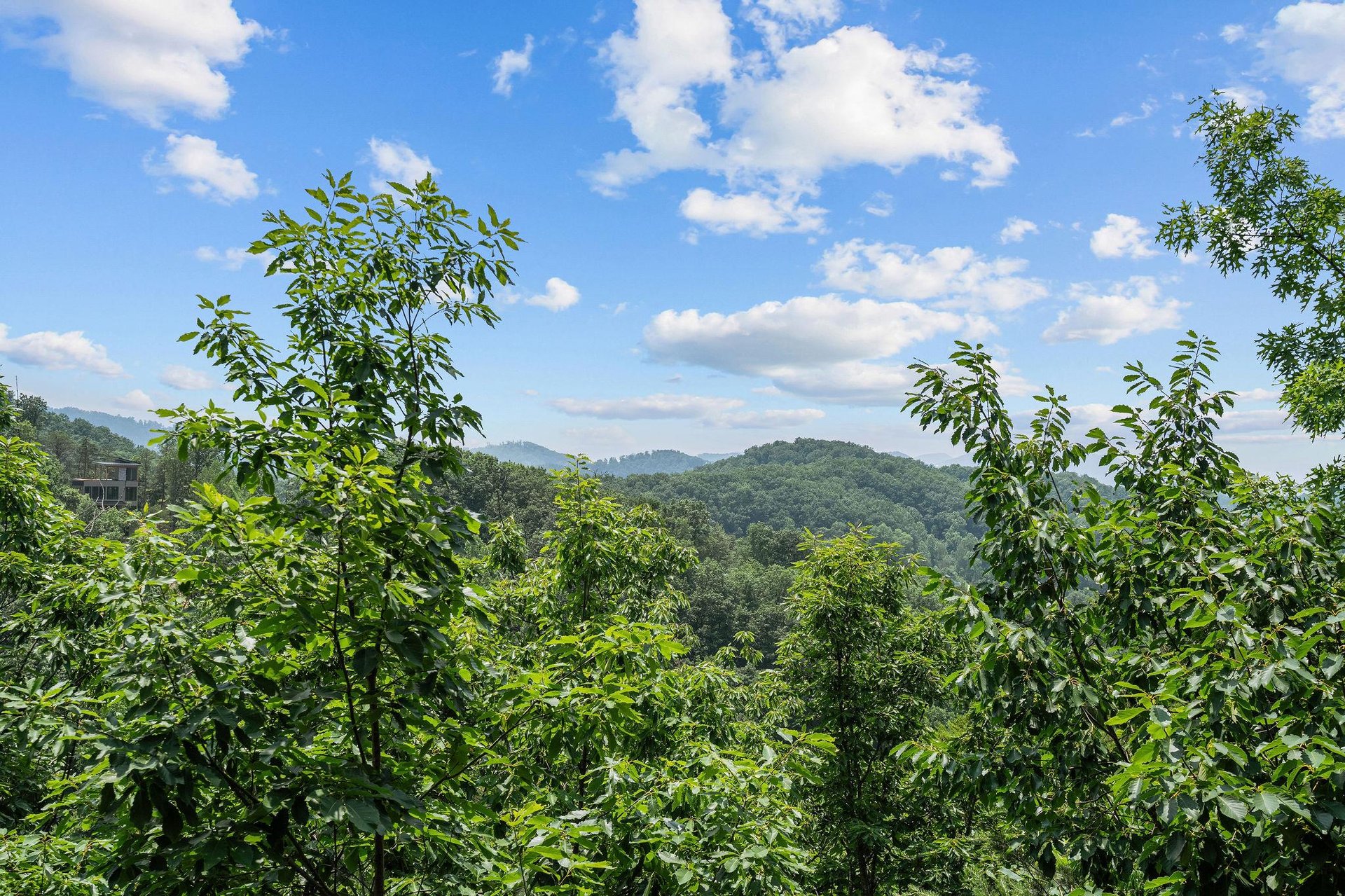 View from View and Me cabin