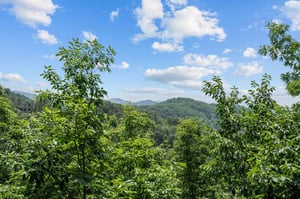 View from View and Me cabin