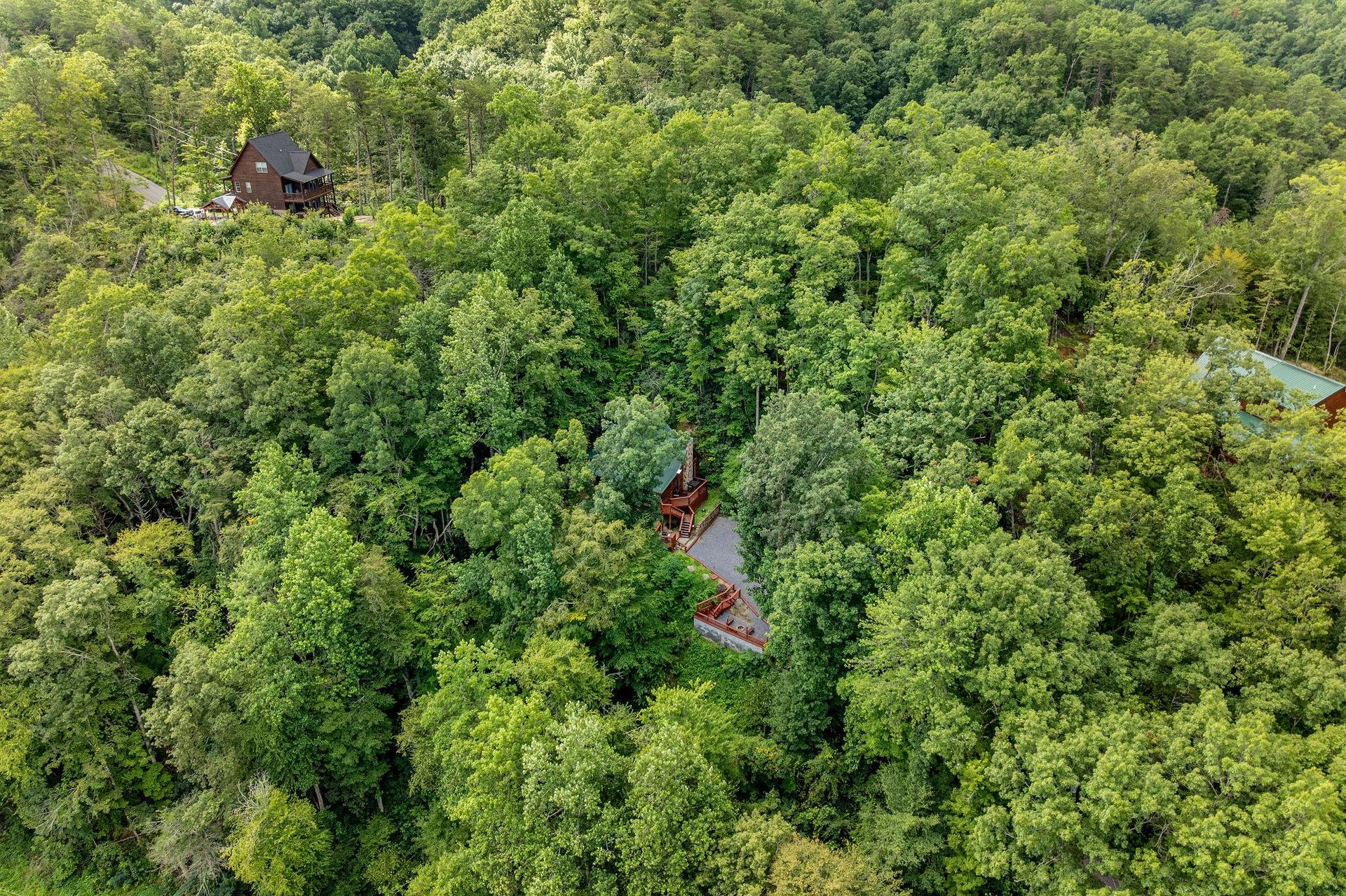 view at Moonshiners Ridge