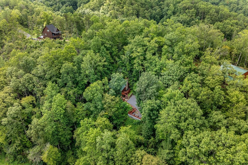 view at Moonshiners Ridge