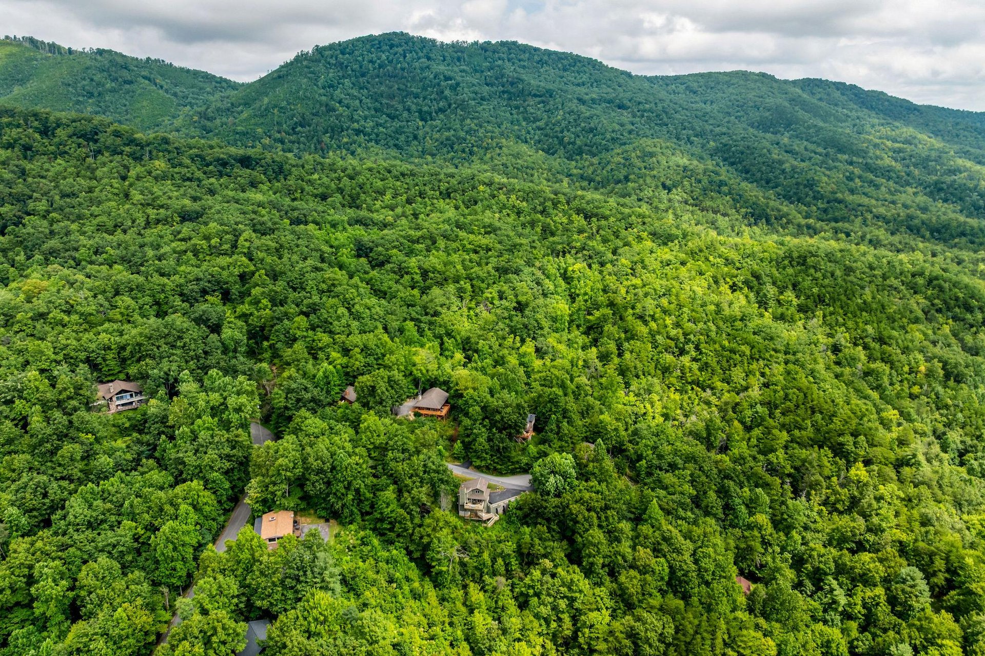 dancinginthemoonlight37