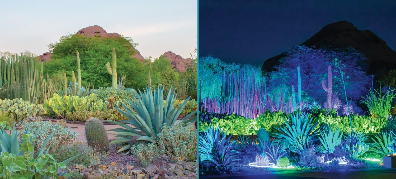 SummerGardens