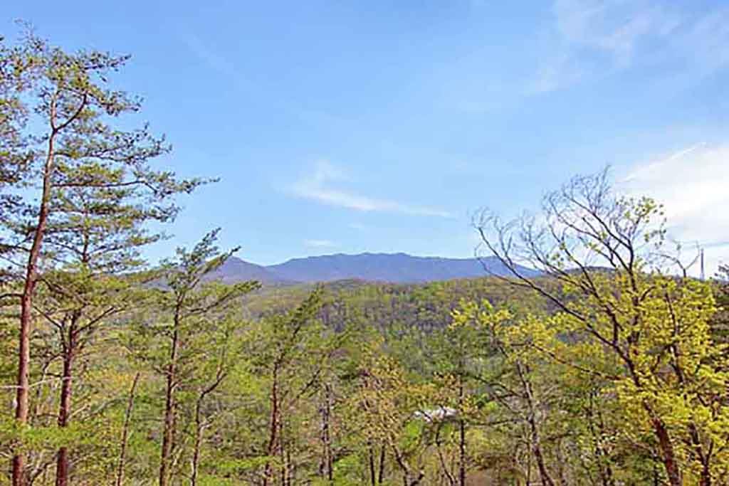 View in Early Spring