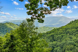 mountainmoonshine28