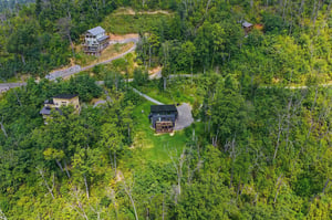 An aerial view of secluded vacation homes nestled in lush forest, offering peaceful privacy and natural surroundings for a tranquil mountain getaway.