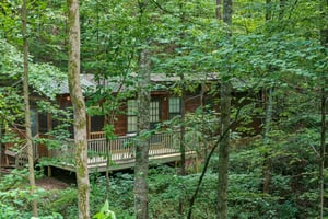 wooded exterior view of angels dream a 1 bedroom cabin rental located in gatlinburg