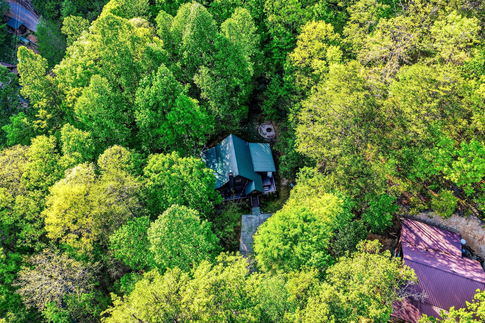 Aerial view of a secluded property nestled among vibrant forest canopy, offering complete privacy and natural surroundings.