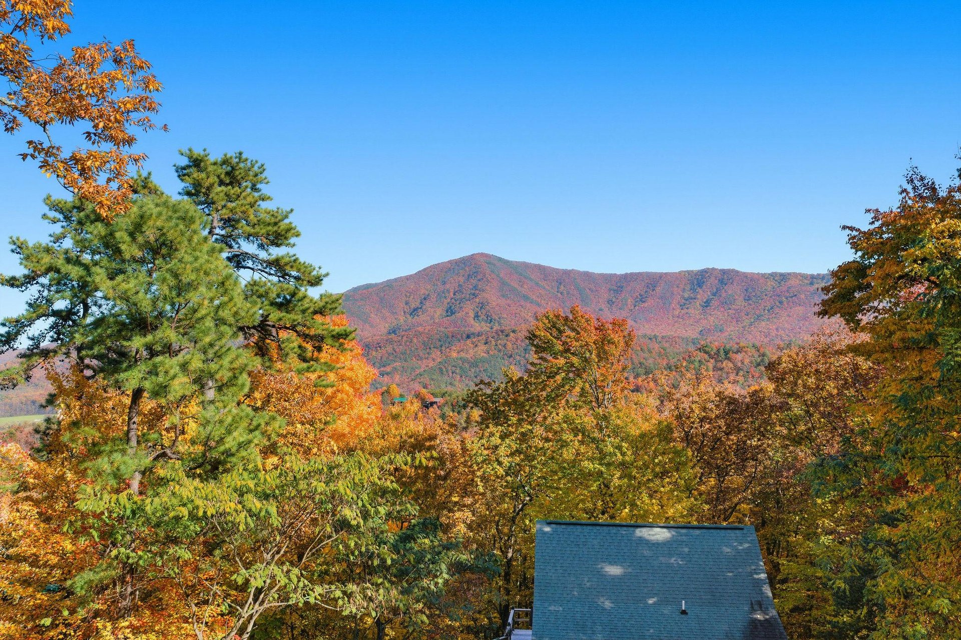 bearmontlodge35
