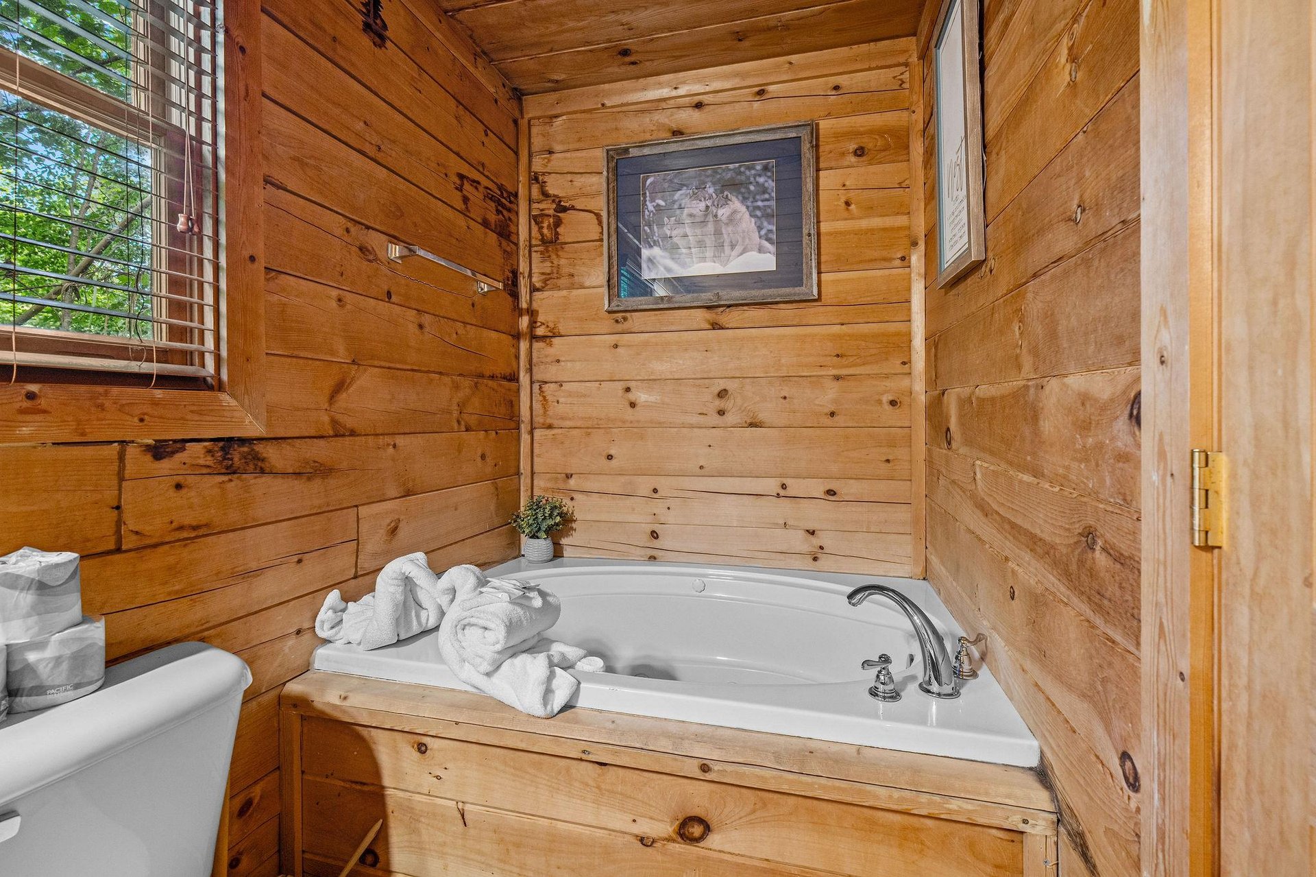 Jacuzzi Tub