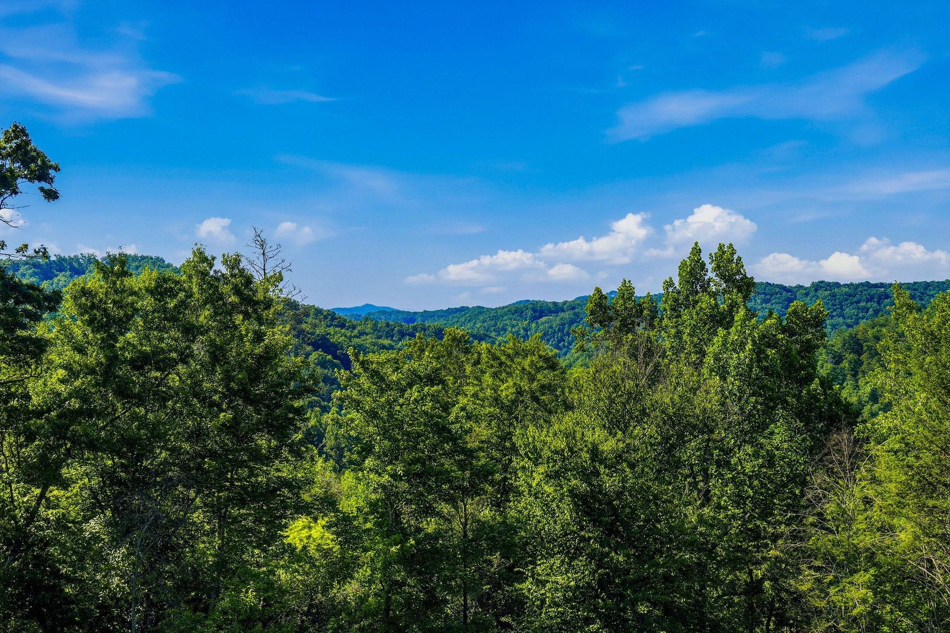 Sweeping mountain vistas stretch across lush forested hills beneath a brilliant summer sky at this scenic property location.
