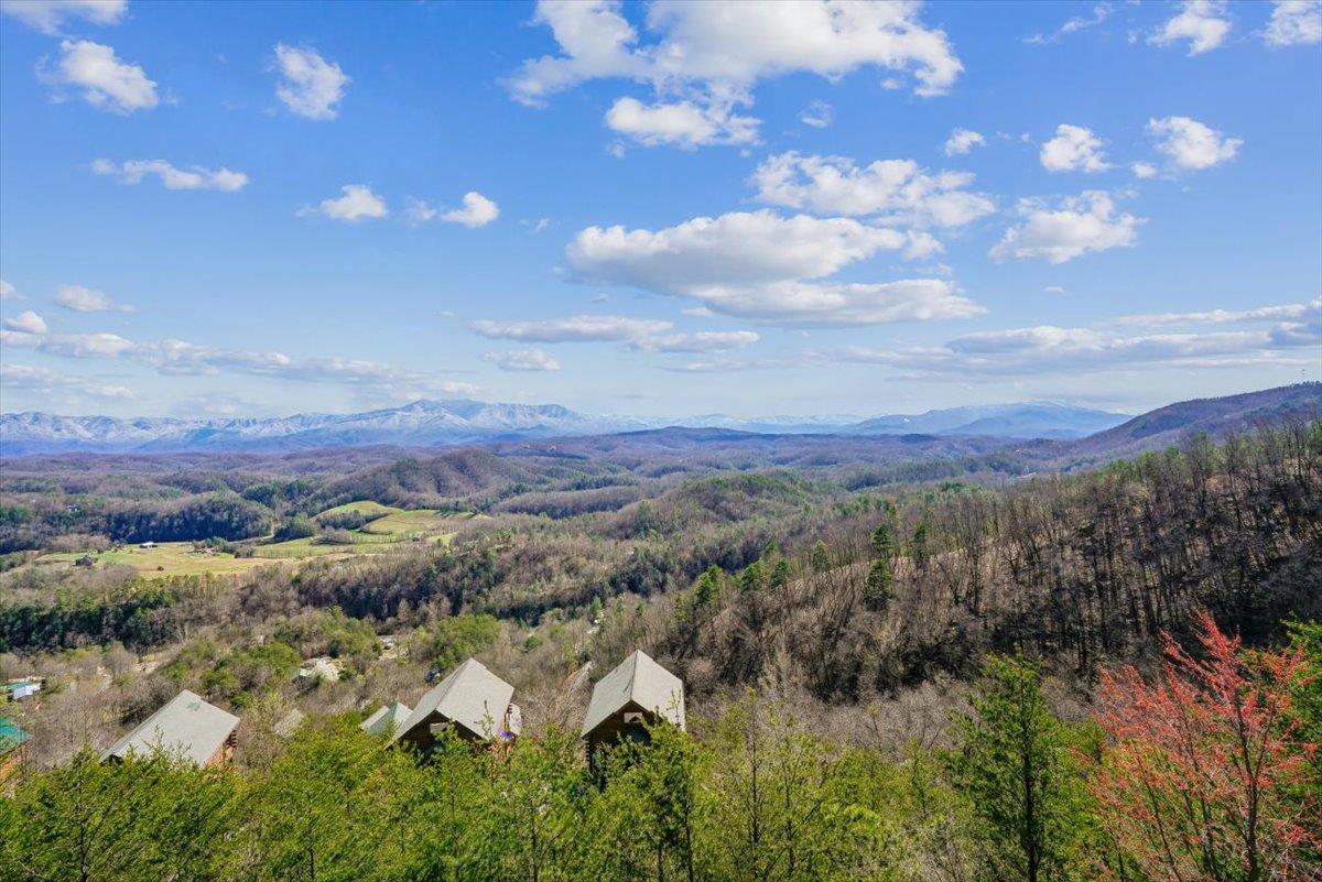 47View