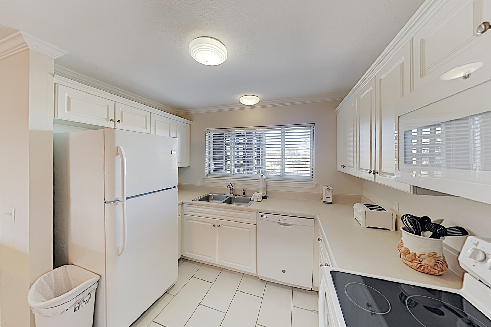 Needle Rush Point A23 7