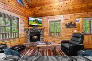 fireplace, TV, sleeper sofa  natural lighting