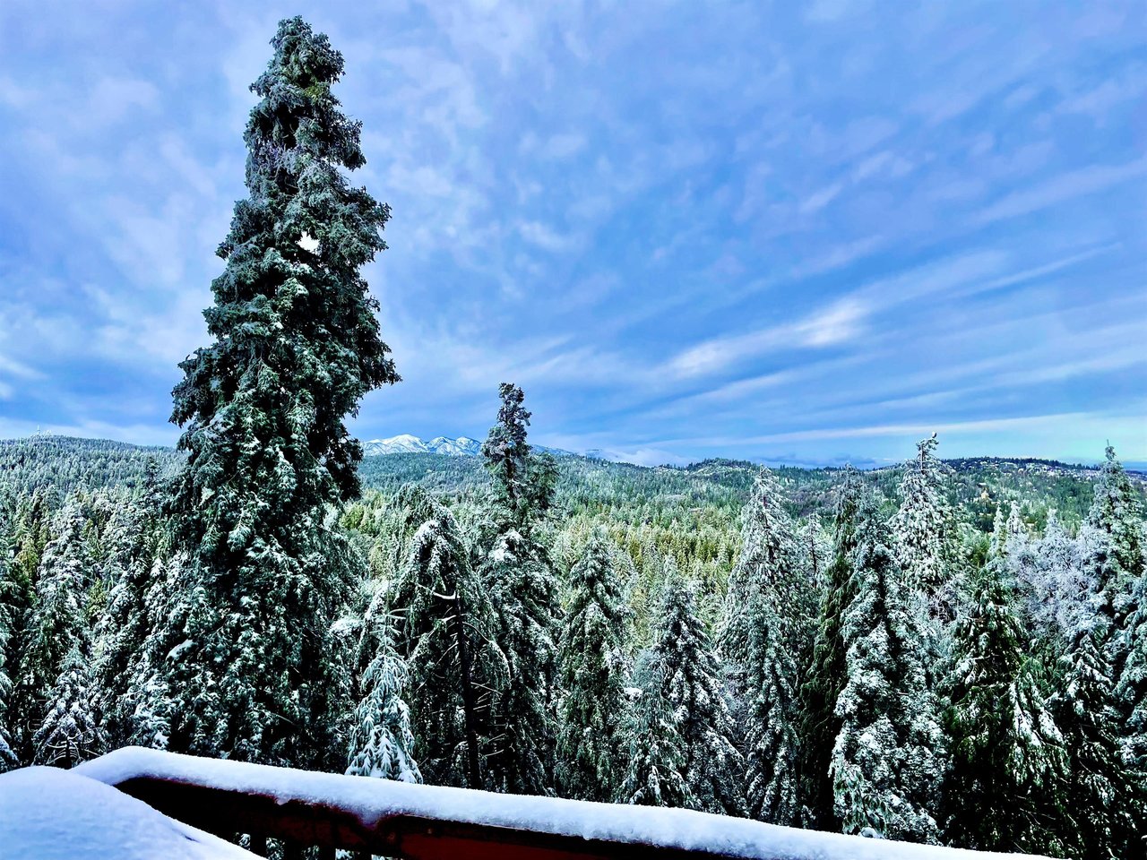 Beautiful, expansive deck with mountain  treetop views, outdoor dining, and BBQ.