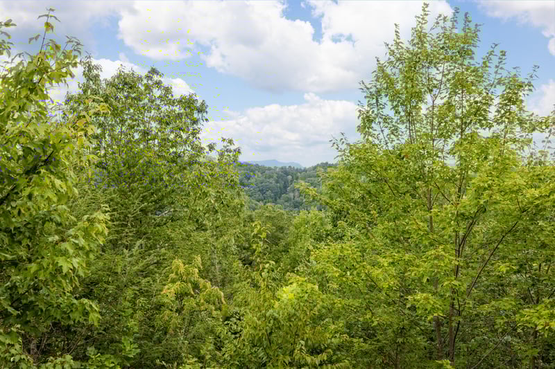 View from Sweet Serenity cabin