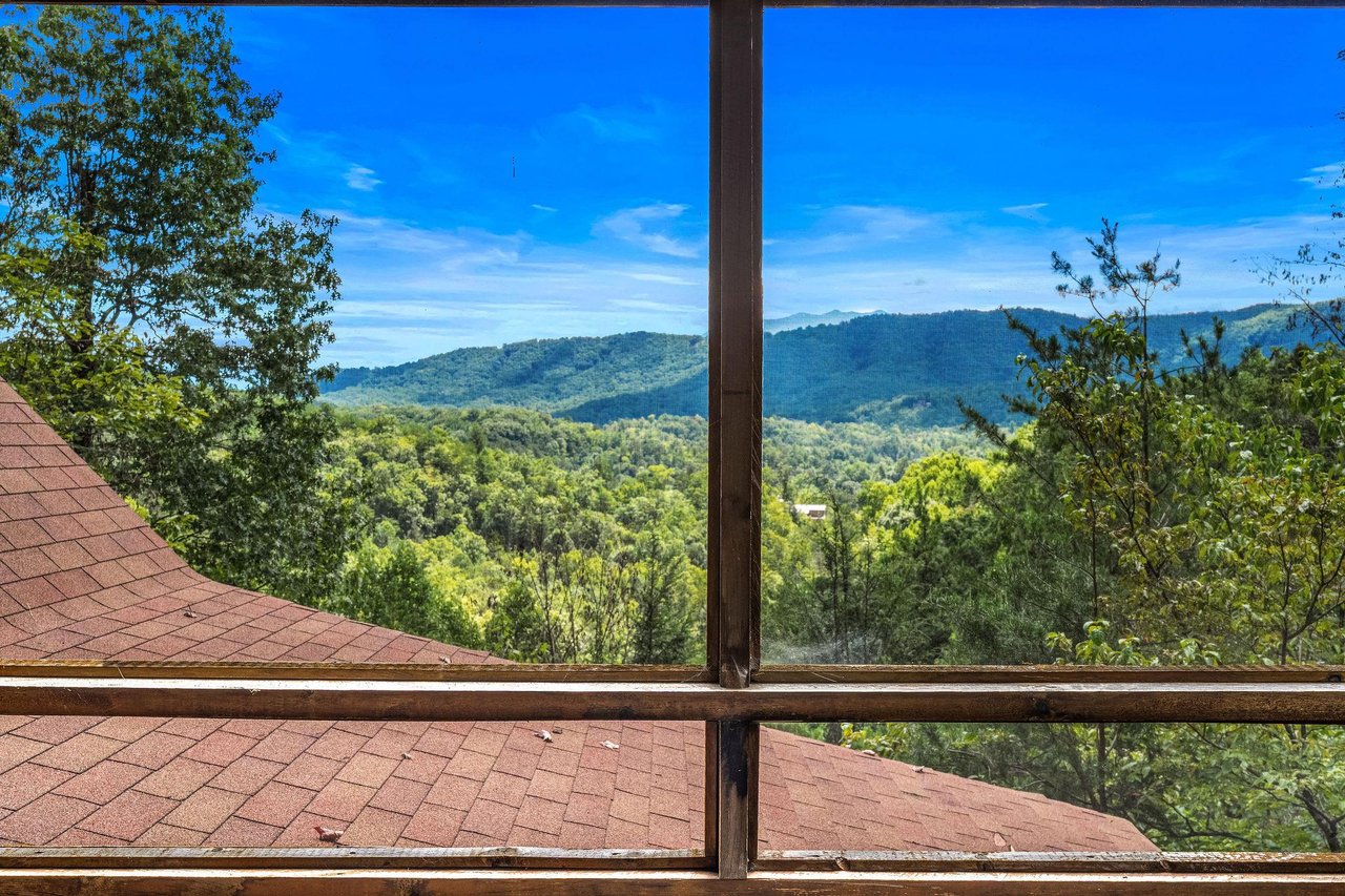 view from Alpine Romance