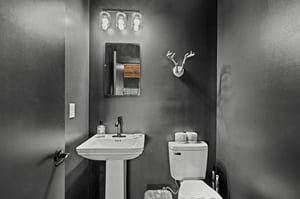 Toilet and pedestal sink