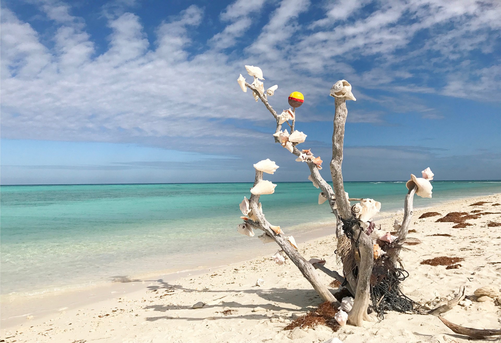 Truman  Duval  Studio A 17