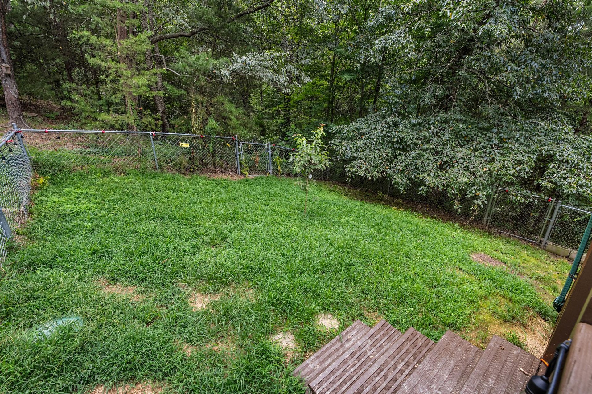 leconteviewlodgeext15