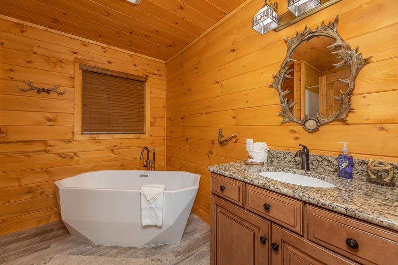 Soaking tub and Sink