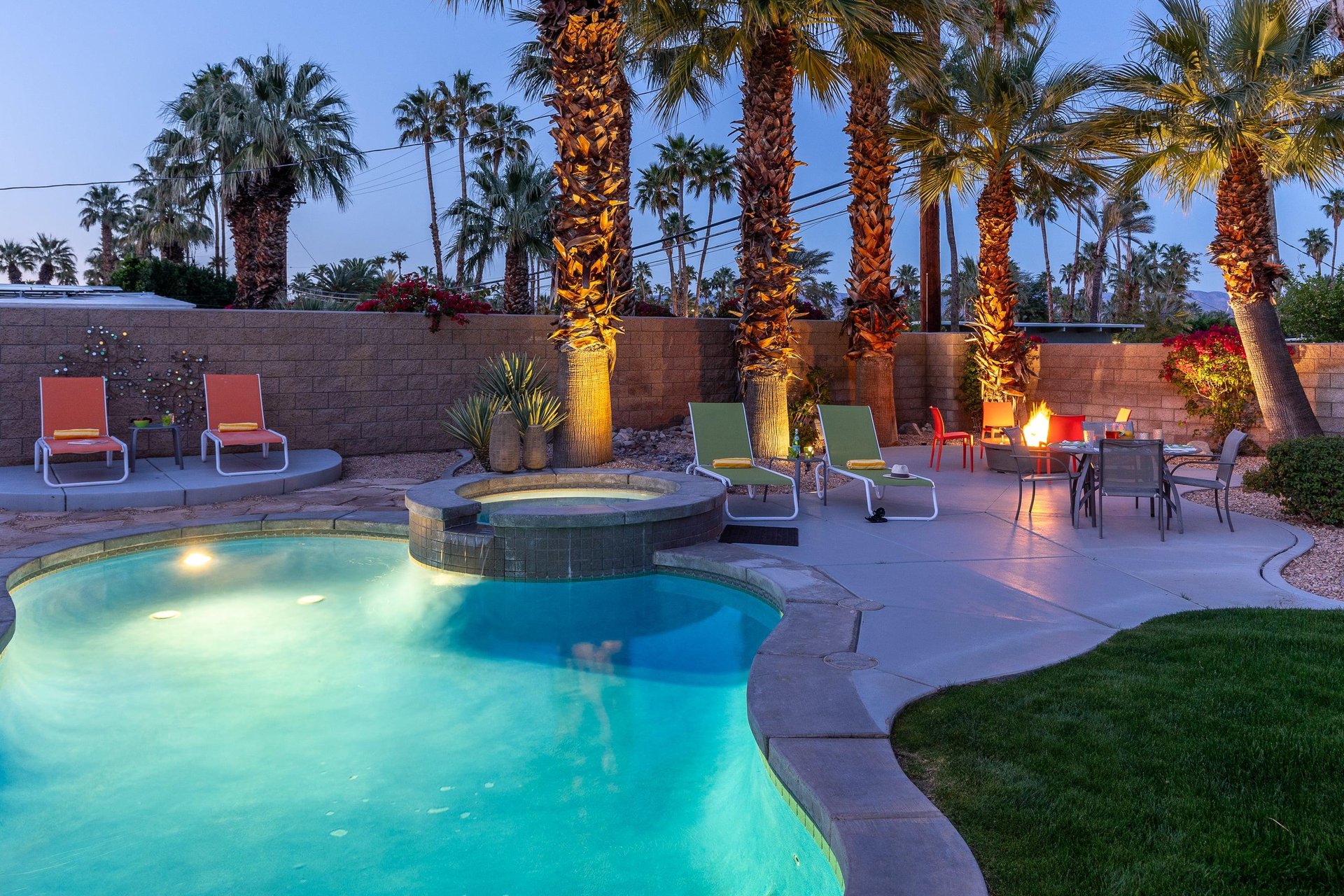 Illuminated palm trees