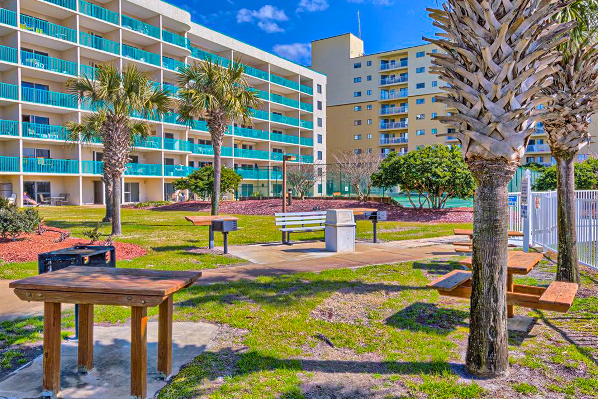 Plantation Palms 6302 19