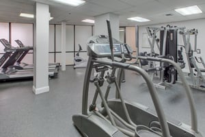 4841370.jpg