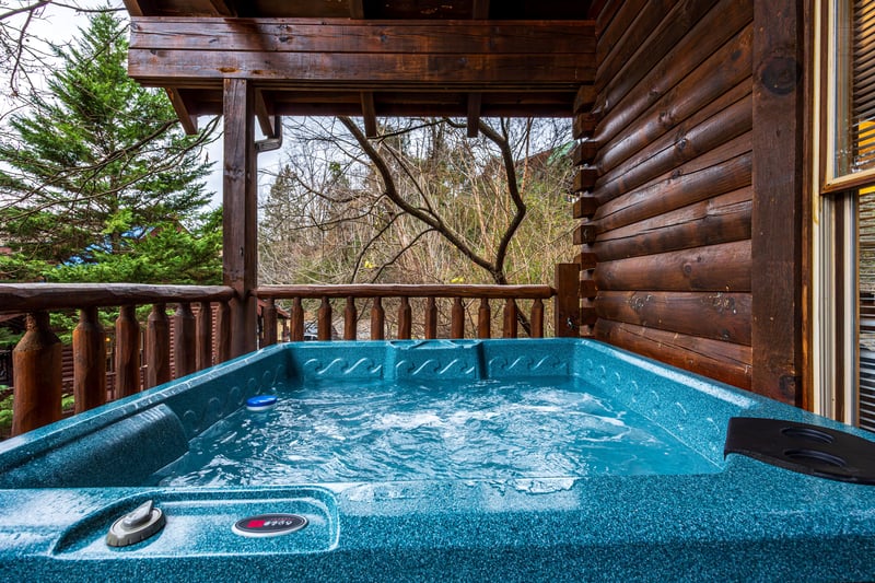 Alpine Sondance Hot Tub
