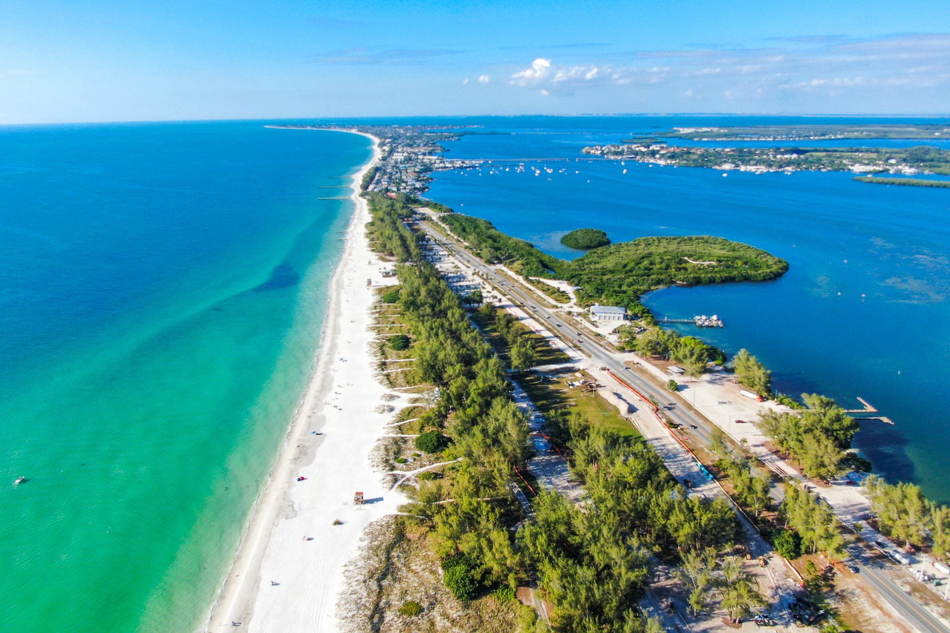 The Fancy Flamingo 42