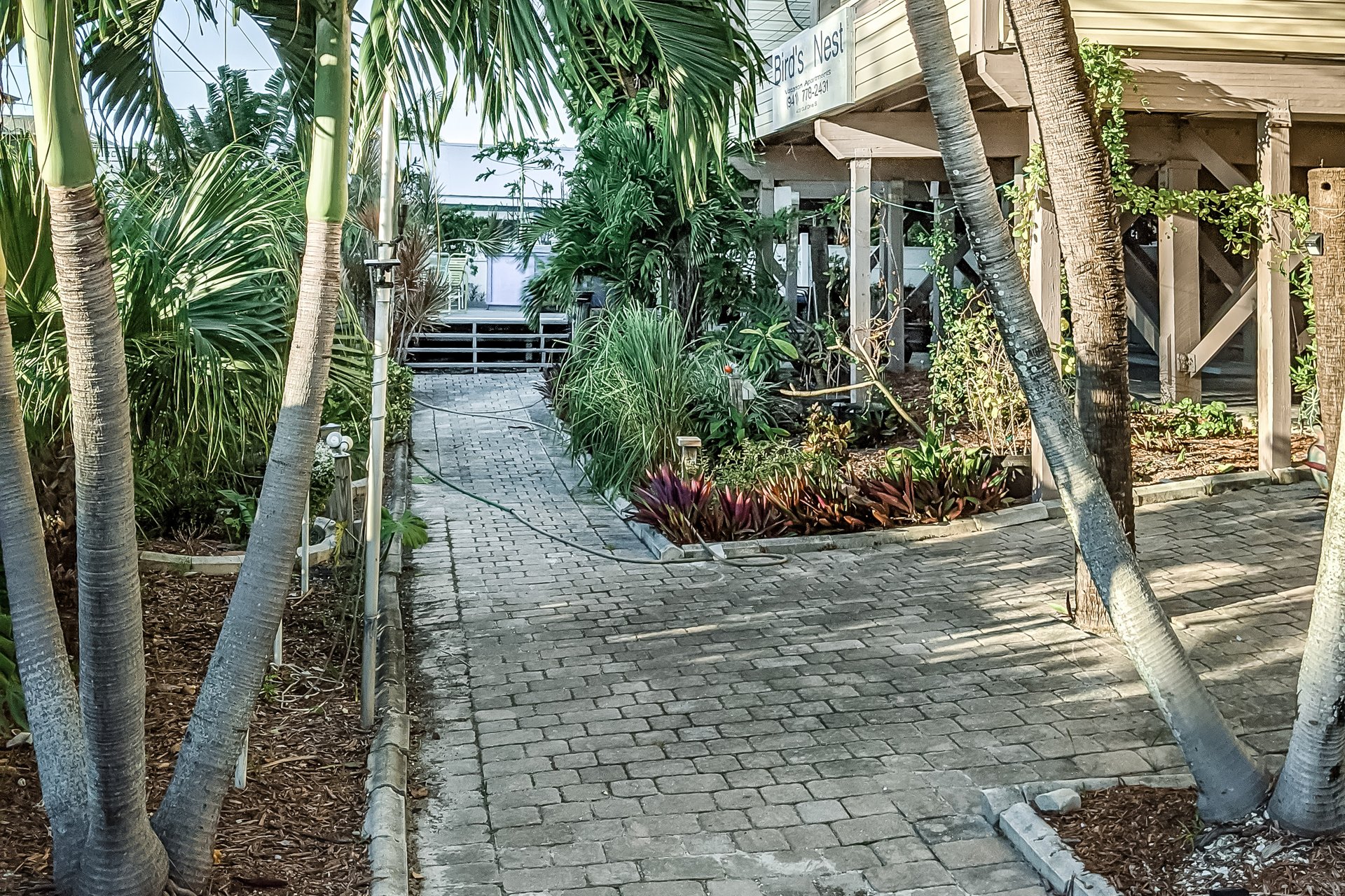 Birds Nest Unit B 21