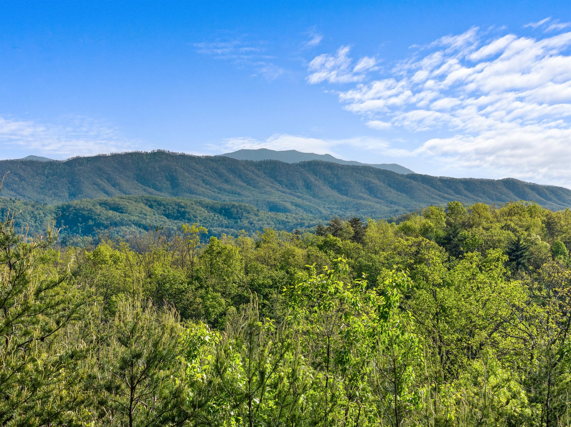 View from Mountain Bliss cabin
