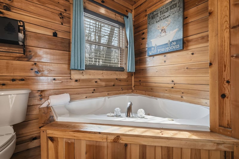 moosemountainlodge21