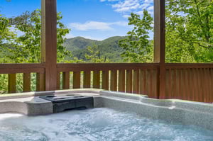 moonbeamandcabindreams16