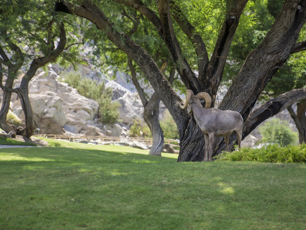 Plenty of outdoor spaces to relax