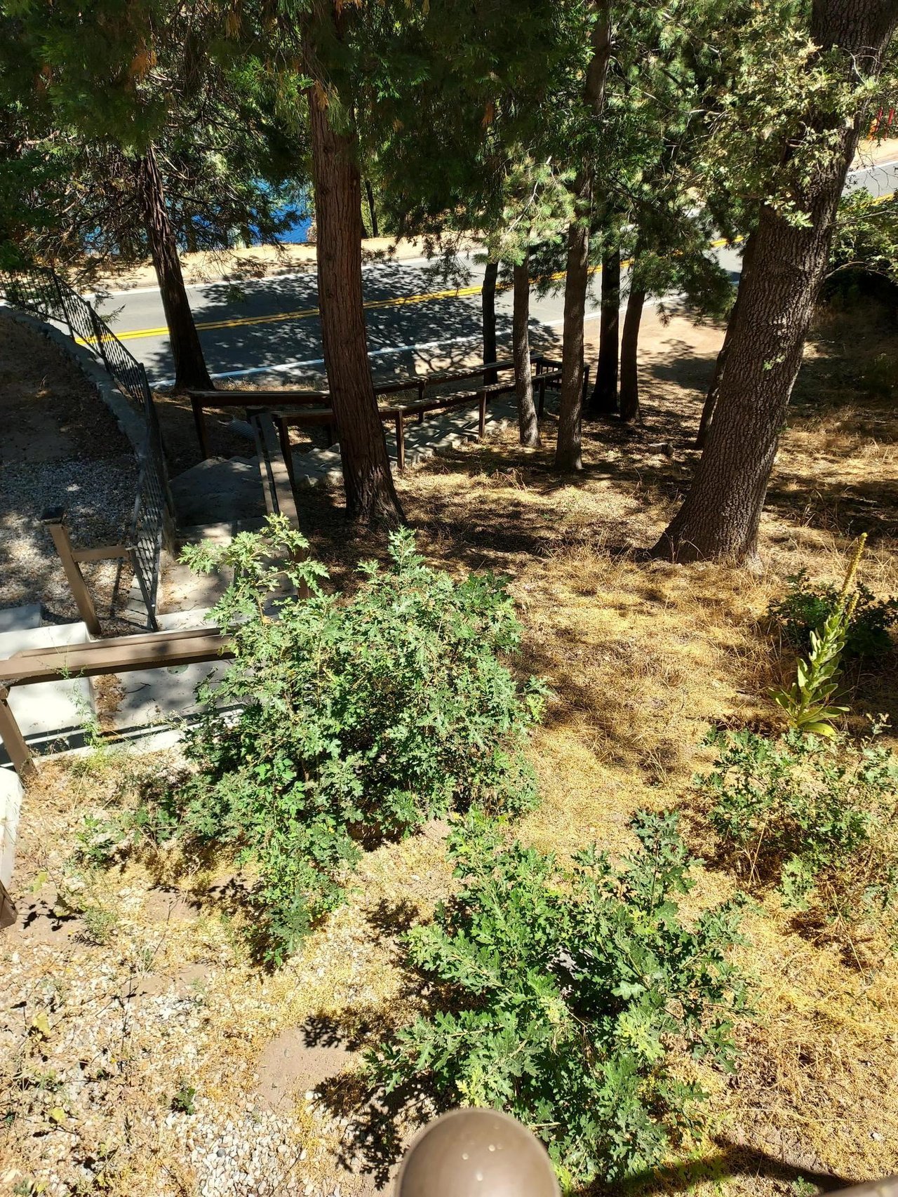 Additional view of stairs leading down to the street.