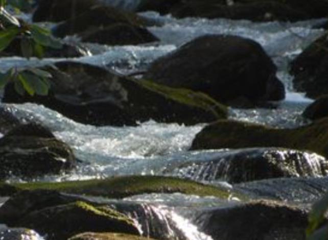 waterfallsedgewater