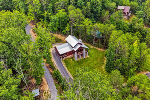 Secluded cabin retreat surrounded by lush forest canopy, offering privacy and peaceful seclusion in a natural mountain setting with convenient driveway access.