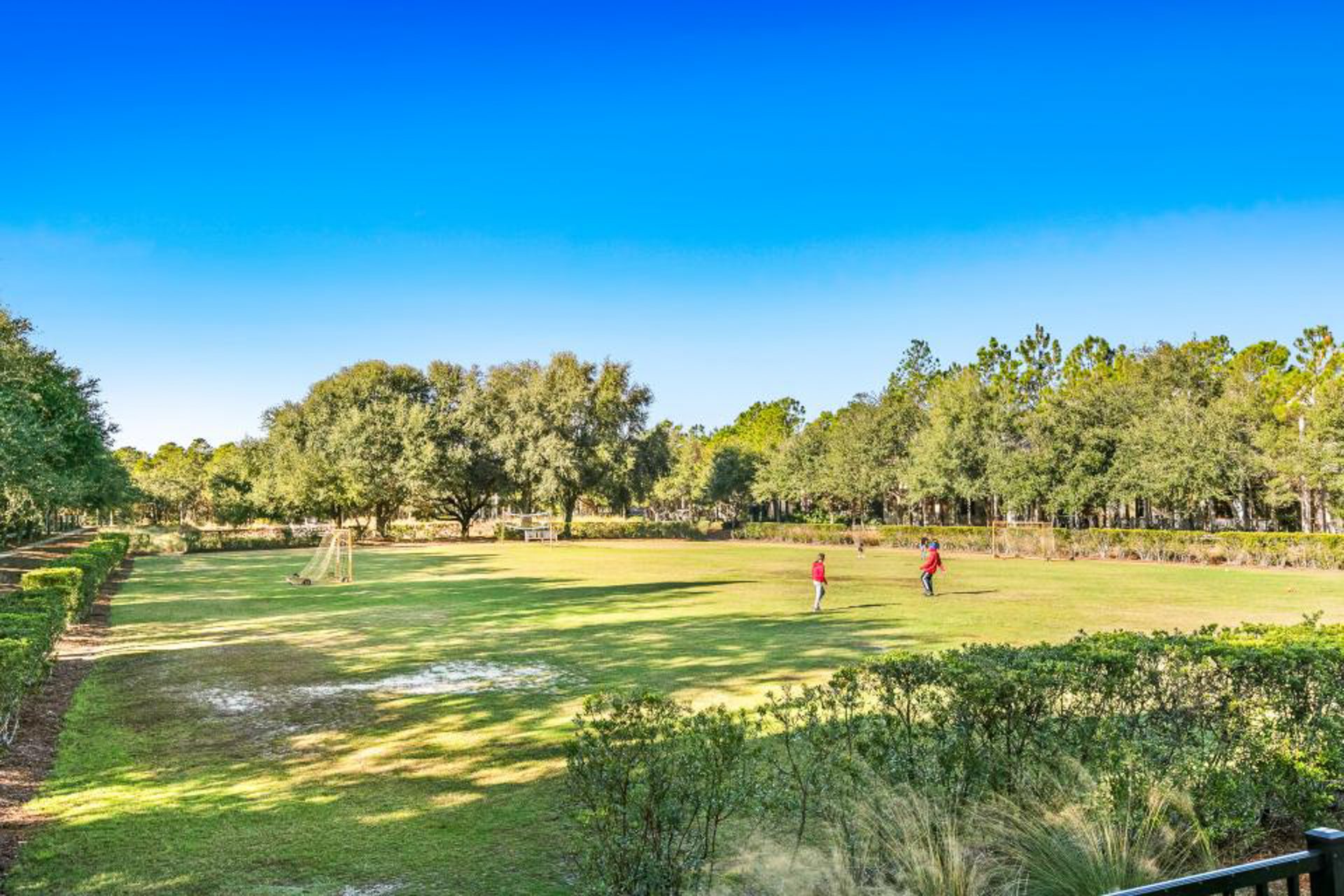 Watercolor   Emerald Dream 22