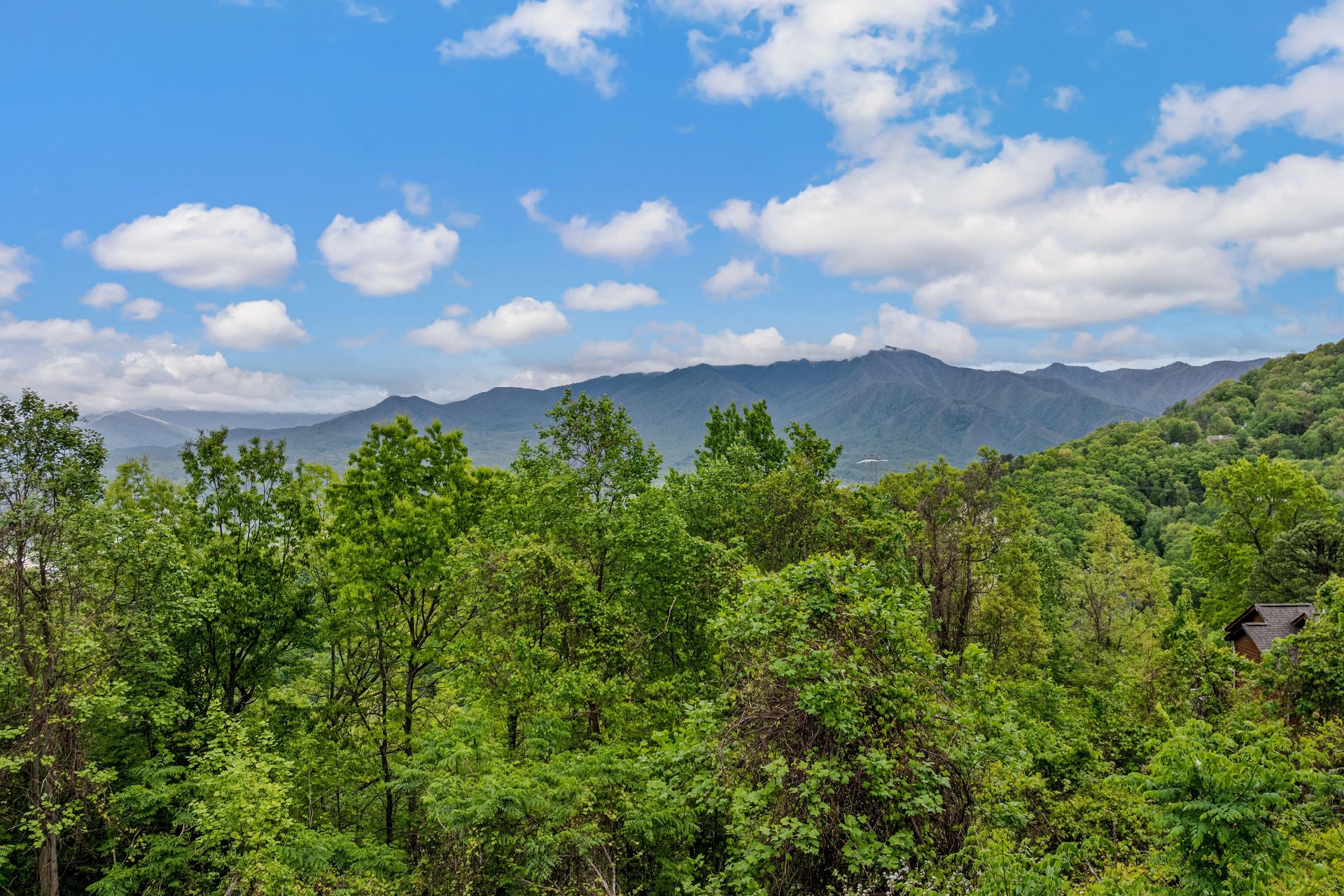 Aerial Property View