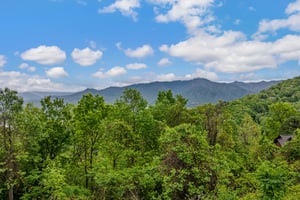 Aerial Property View